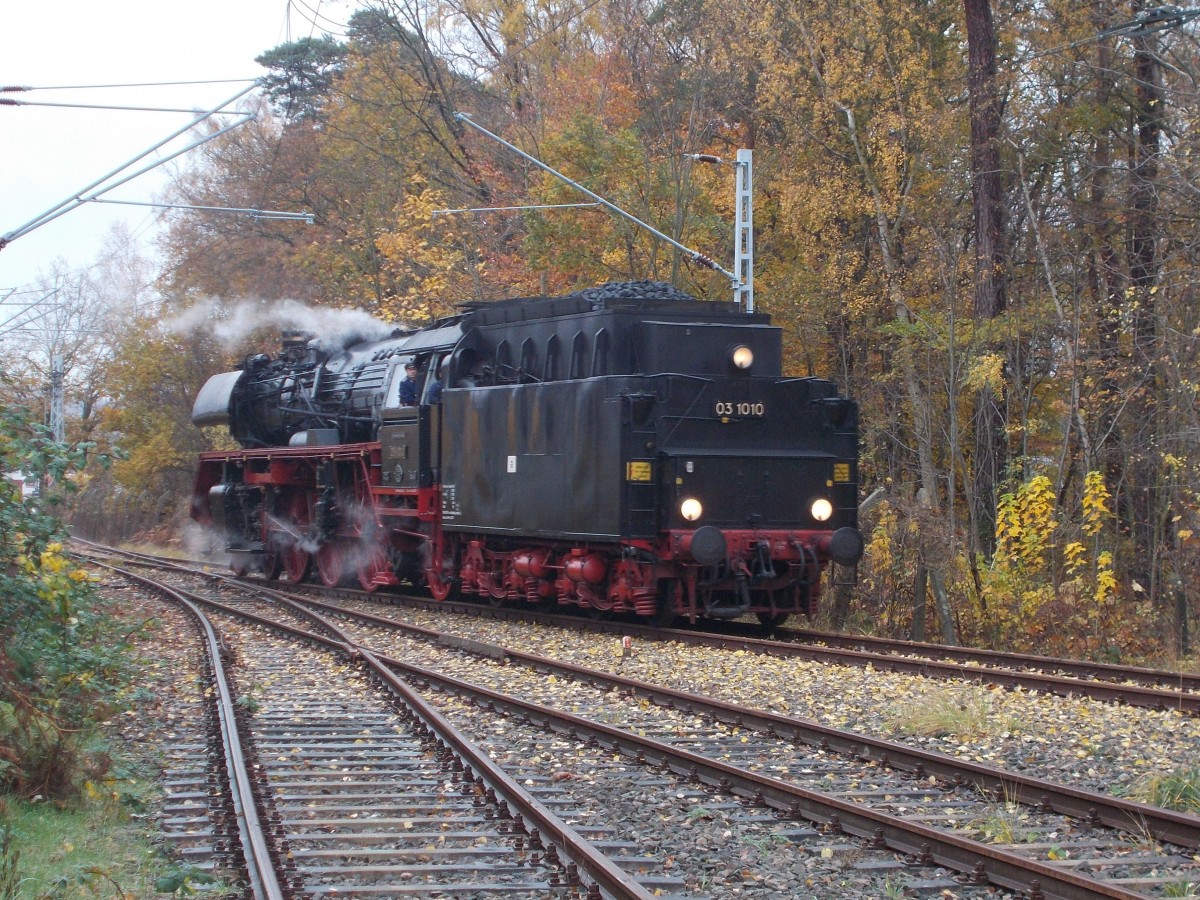 zum geburtstag rosengedicht glückwünsche geburtstag verein