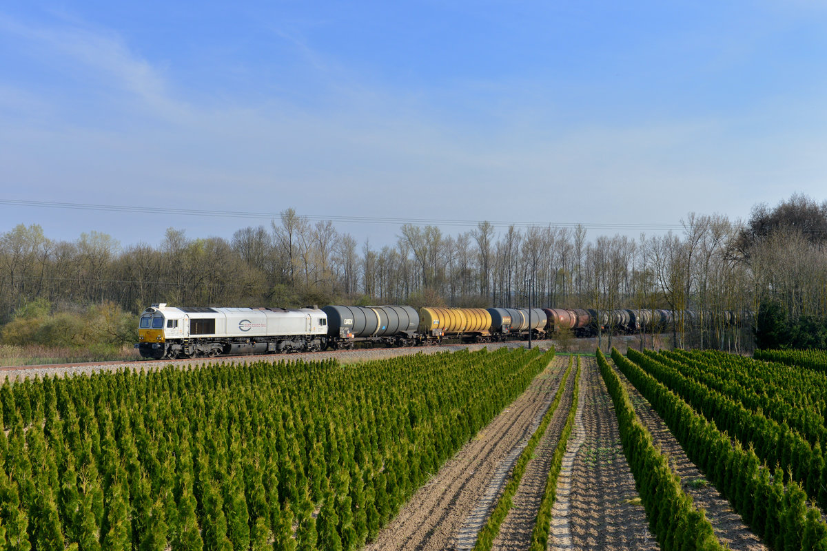 077 025 mit einem Kesselzug am 02.04.2017 bei Wallersdorf. 