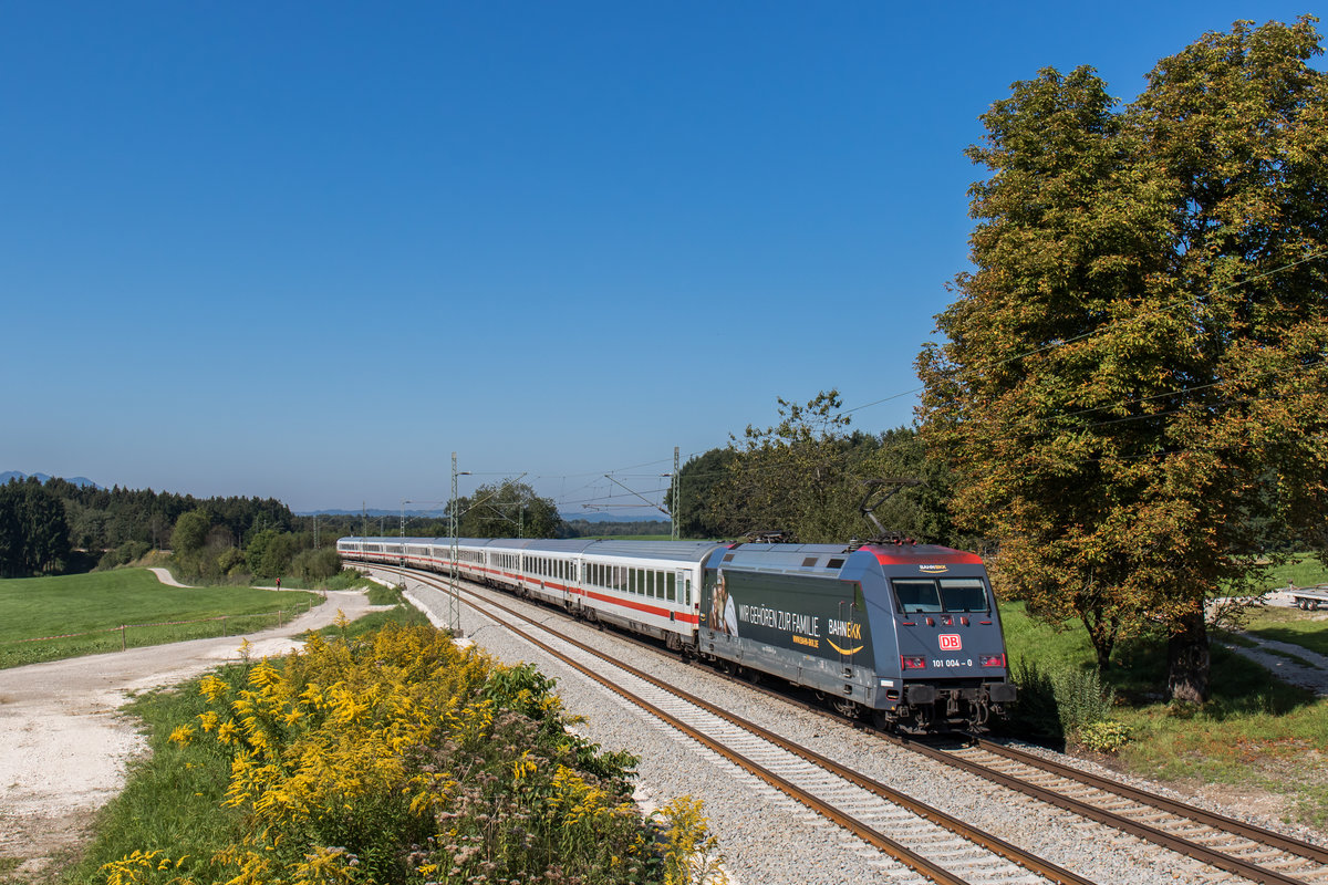 101 004 macht seit kurzem Werbung für die  Bahn BKK  und schiebt hier einen EC durchs Chiemgau in Richtung München, aufgenommen am 8. September 2016.