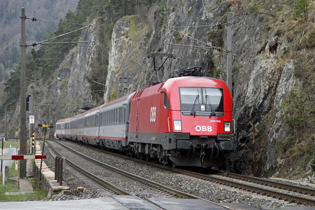 1016 002 mit EC158 bei Stübing am 25.03.2014. Beachtenswertes Detail : Die Gämse am Felsen rechts neben der Lok.