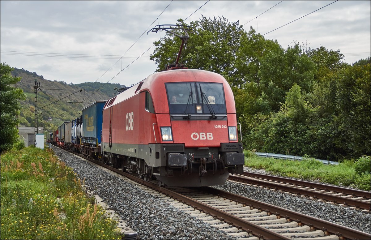 1016 012 der ÖBB ist am 07.09.2017 mit einen Aufliegerzug bei Gambach unterwegs.