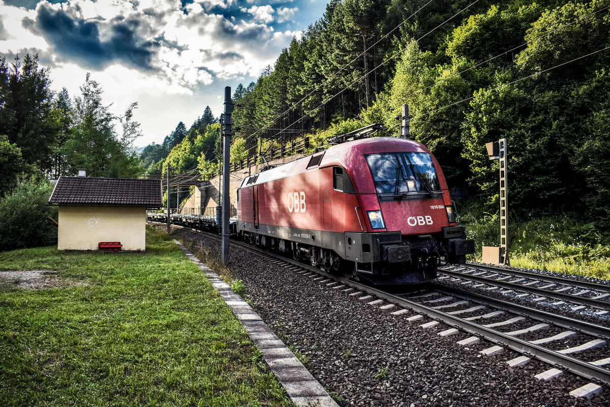 1016 034-1 fährt mit einem Güterzug bei Oberfalkenstein, die Tauernbahn-Südrampe hinunter.
Aufgenommen am 30.7.2018.