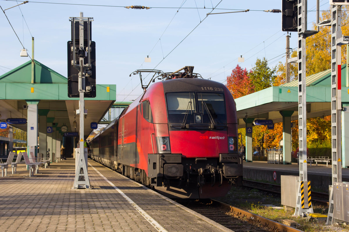 1016-239 nach seiner Fahr aus Innsbruck im Bahnhof Bregenz. 1.11.16