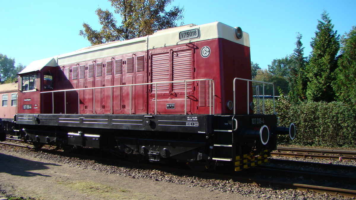 107 018-4 DR DB Museum Leipzig Plagwitz 15.10.2011