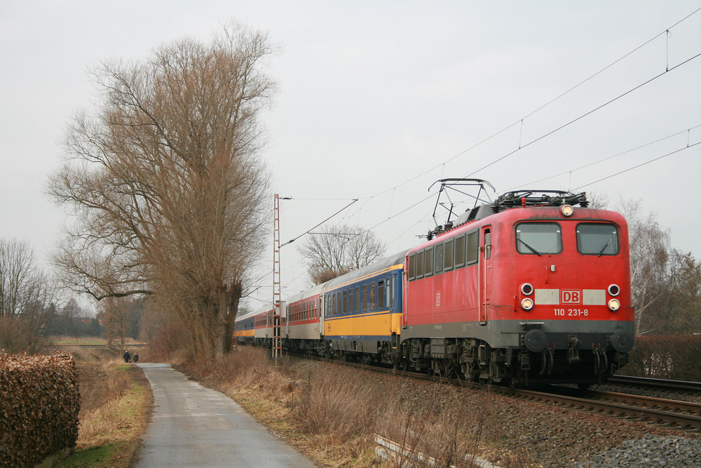 110 231 mit einer Wagenüberführung am 28. Februar 2009 in Pulheim.