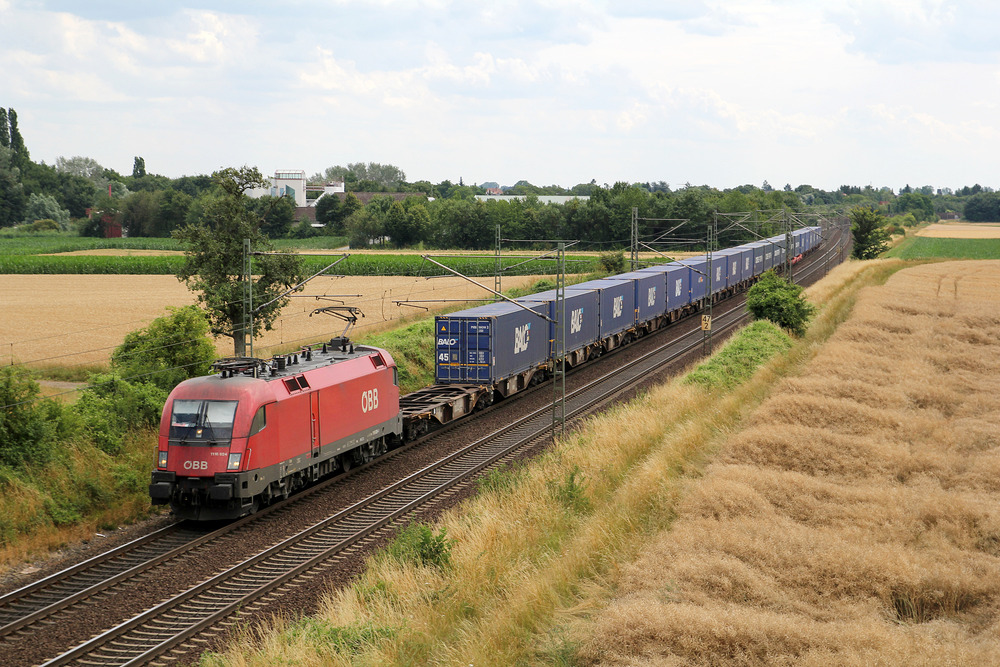 1116 024 mit einem KLV-Zug auf der sogenannten  Riedbahn  südlich von Riedstadt-Wolfskehlen.
Aufnahmedatum: 6. Juli 2014