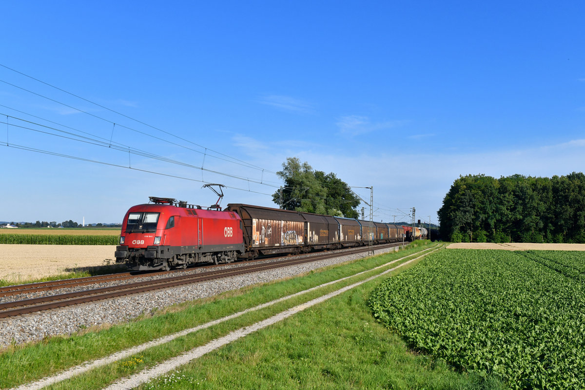 1116 041 mit einem Güterzug am 03.07.2018 bei Langenisarhofen. 