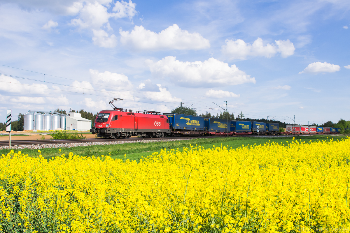 1116 111 am 09.05.2016 bei Batzhausen.