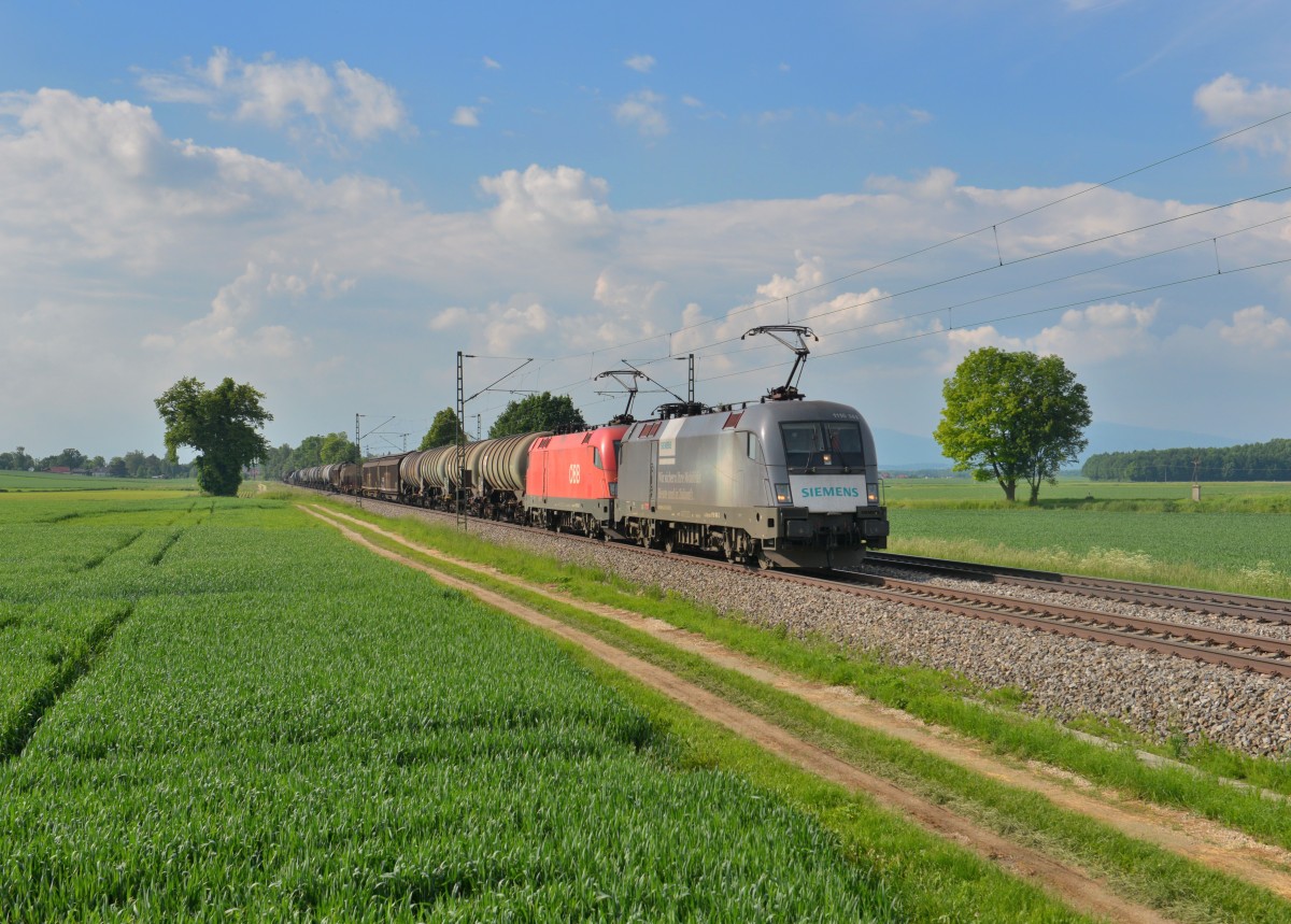 1116 141 + 1116 136 mit EZ 45911 am 25.05.2015 bei Langenisarhofen. 