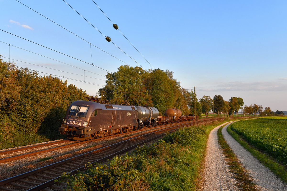 1116 182 mit EZ 45910 am 28.09.2018 bei Langenisarhofen. 
