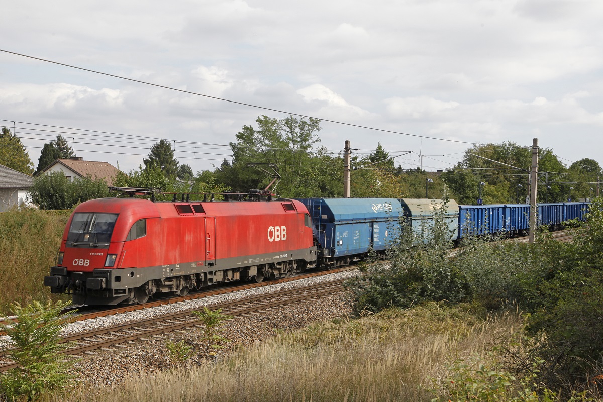 1116 262 mit Güterzug bei Silberwald am 21.09.2016.