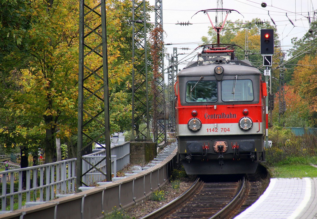 1142 704 der Centralbahn kommt aus Richtung Köln mit einem Sonderzug von Mönchengladbach(D) nach Brig(A)  und fährt in Richtung Koblenz. Aufegenommen auf der Rechten Rheinstrecke (KBS 465) in (Rhöndorf am Rhein).
Bei Wolken am Mittag vom 16.10.2015.
