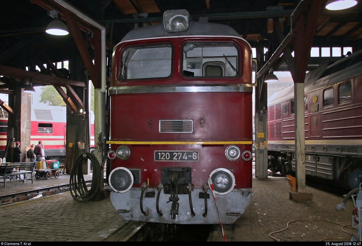 120 274-6 (DR V 200) DB steht anlässlich des Sommerfests unter dem Motto  Diesellokomotiven der ehemaligen DR  im Ringlokschuppen des DB Musems Halle (Saale).
[25.8.2018 | 12:47 Uhr]