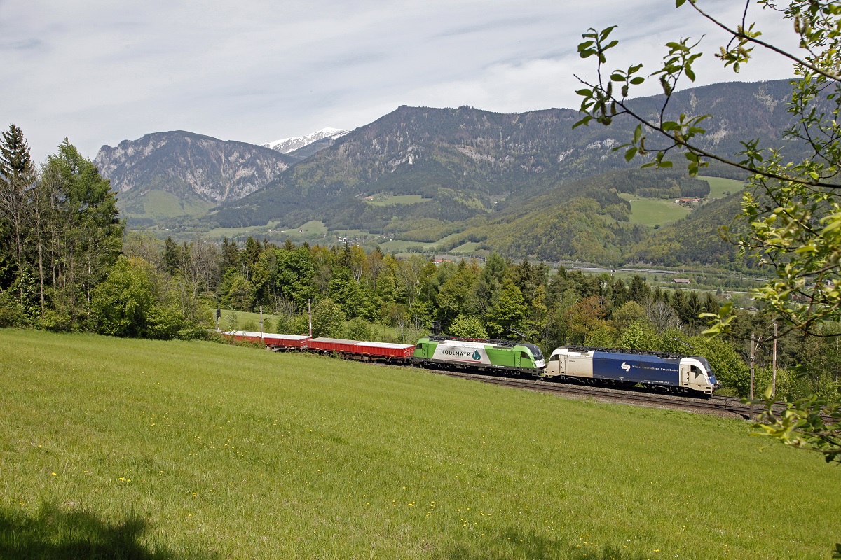 1216 953 + 1216 954 mit Güterzug bei Eichberg am 11.05.2017.
