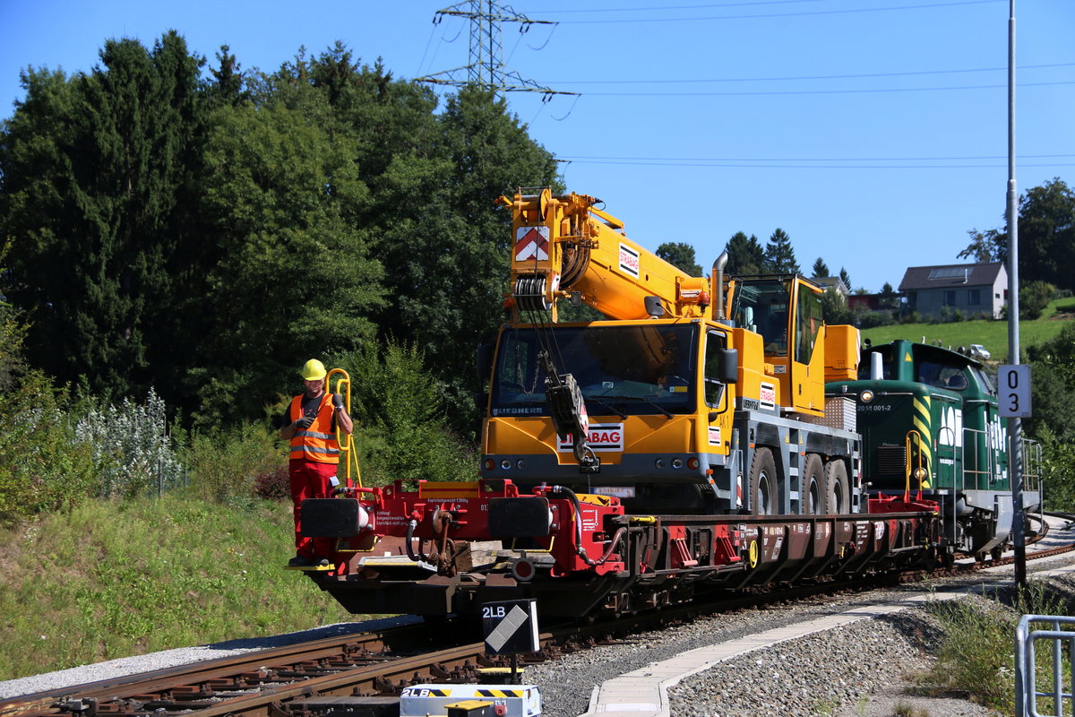 130 Tonnen Pakt der Autokran wenn Bedarf besteht ,... 
 Für leichtere Lasten hat er in den letzten Tagen seine Arbeit auf dem ehemaligen Rola-Wagen aufgenommen. 26.August 2016 in der Anschlussbahn Leibenfeld.