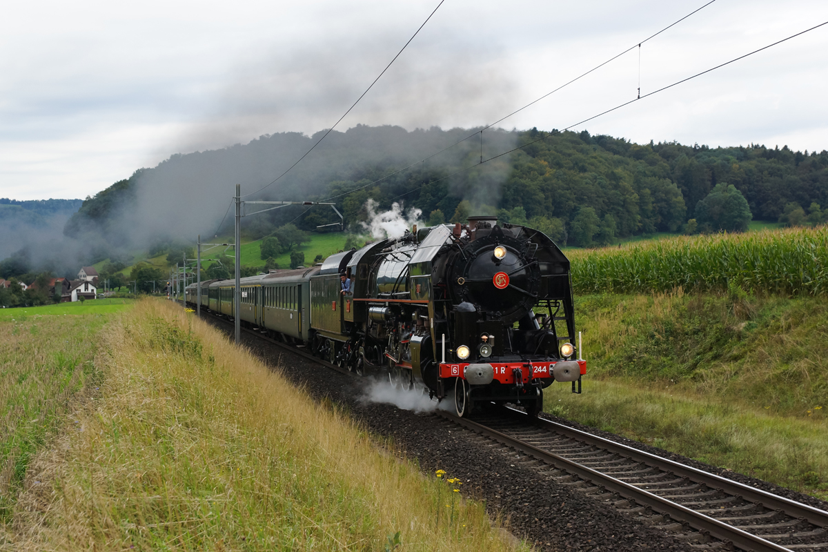 141 R 1244 donnert am 23.08.2014 mit einem Extrazug durch das Furttal. Die Aufnahme entstand kurz vor Ottelfingen.