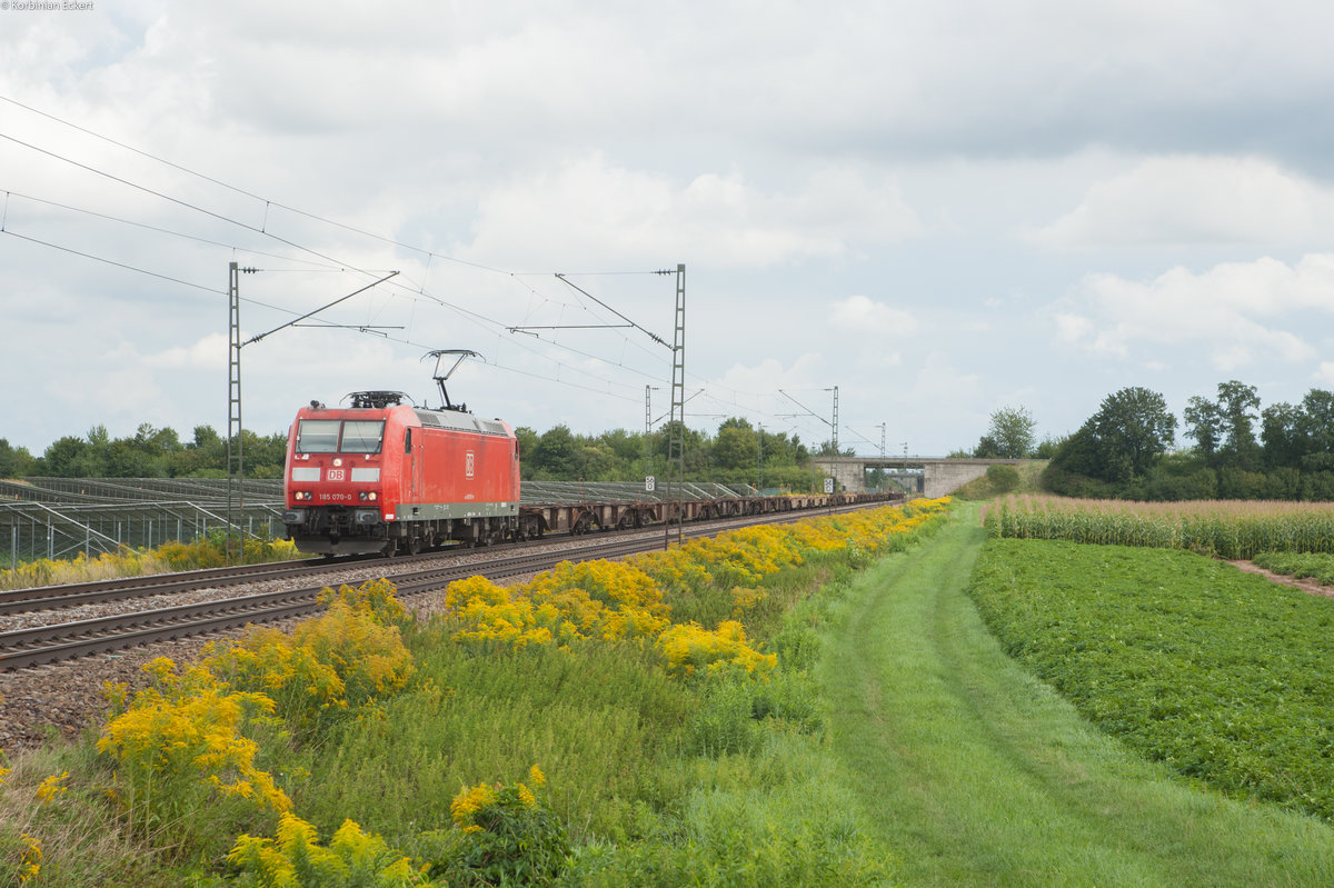 185 070-0 mit einem leeren Containerzug bei Plattling Richtung Regensburg, 19.08.2017