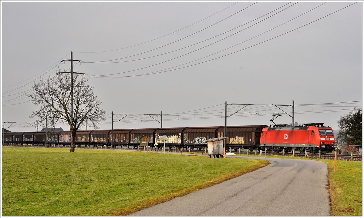185 100-5 mit einem leeren RedBullzug nach Buchs SG zwischen Siebnen-Wangen und Schübelbach-Buttikon (13.02.2017)