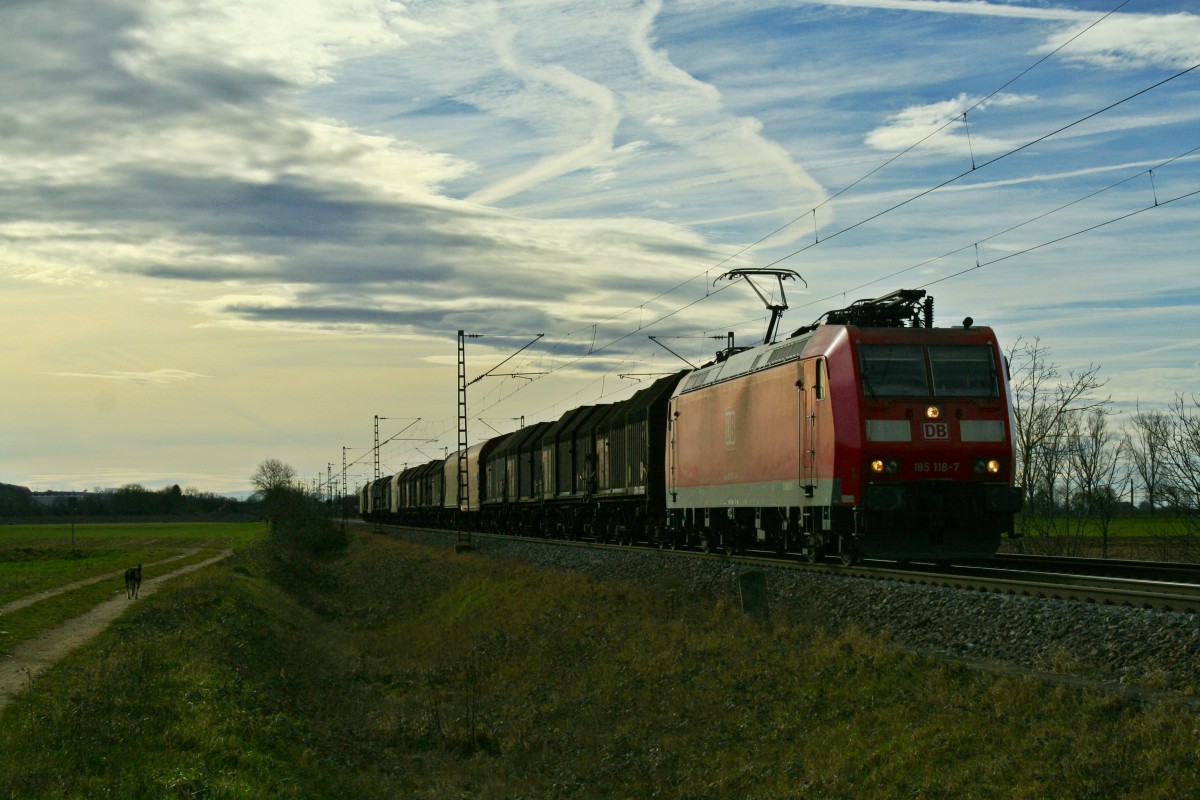 185 118-7 mit einem einem Stahlzug gen Norden am Mittag des 06.01.14 bei Hgelheim.