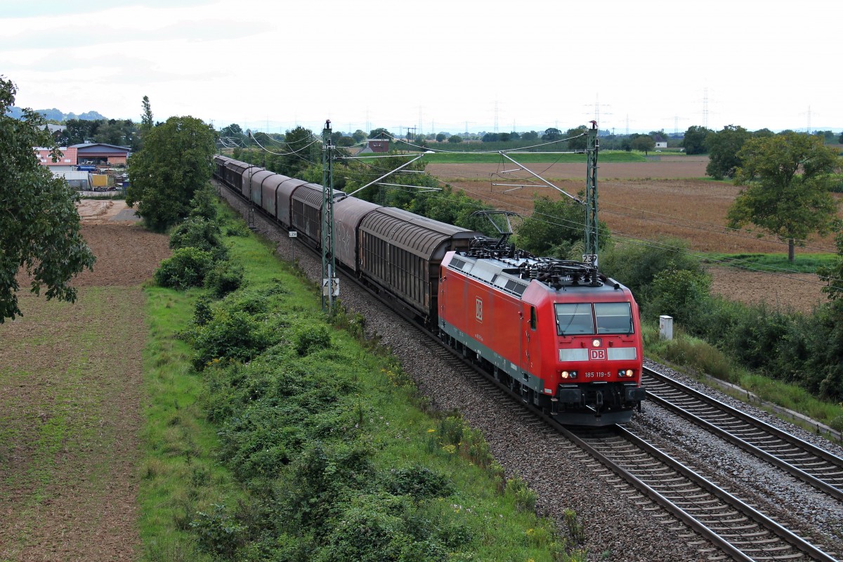 185 119-5 am 22.08.2014 mit einem Mischer bei Auggen in Richtung Freiburg.