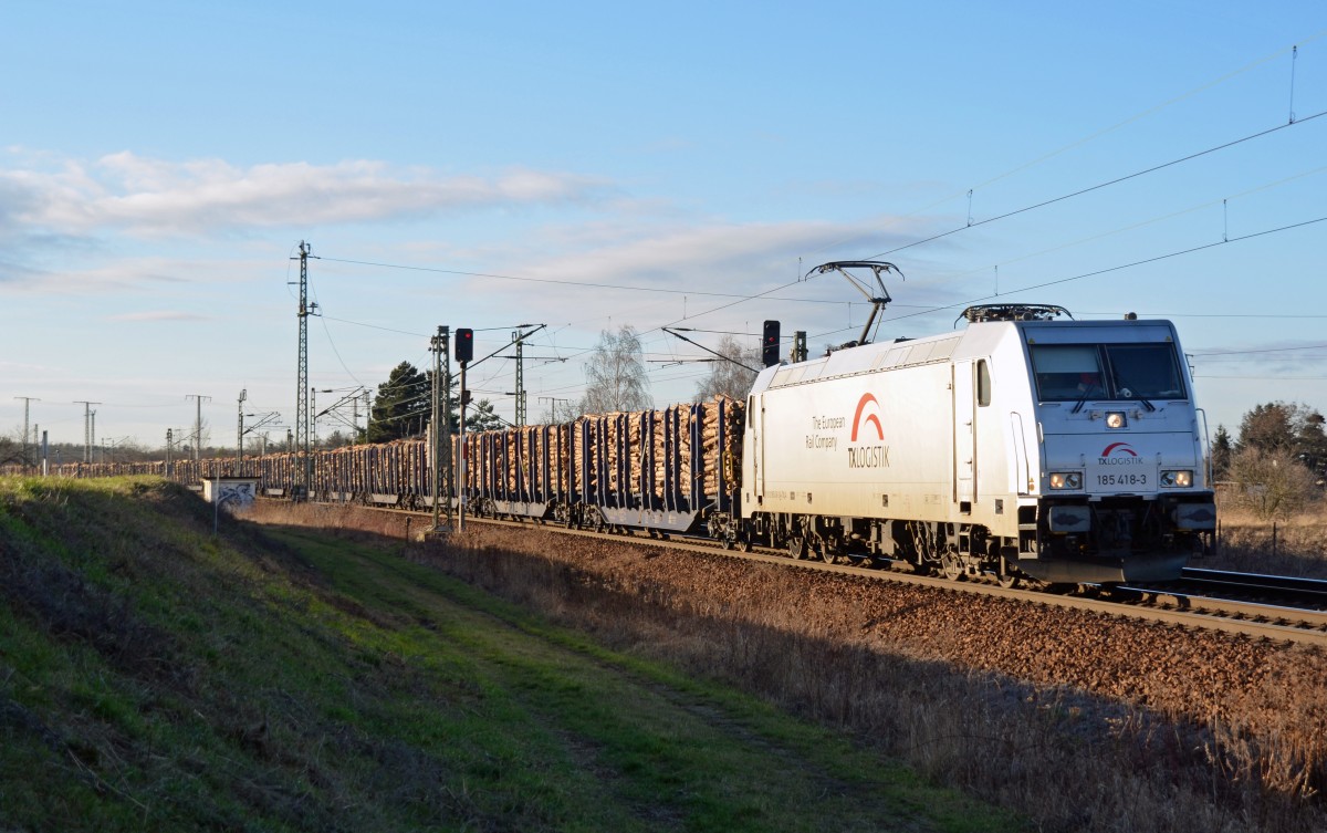 185 418 der TX Logistik rollte am 11.01.14 mit einem aus Richtung Falkenberg(E) kommenden Holzzug durch Zeithain Richtung Dresden. 