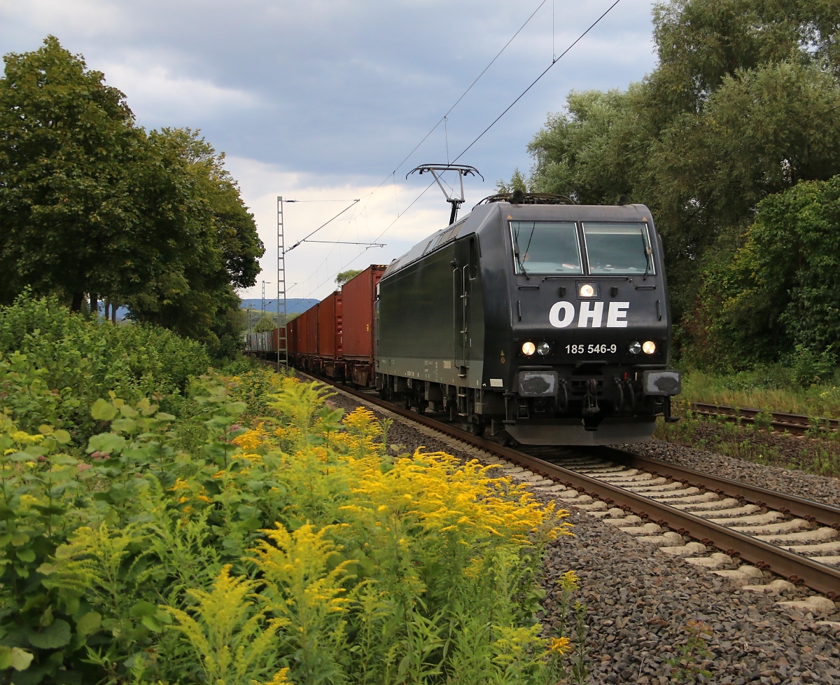 185 546-9 für OHE mit Containerzug in Fahrtrichtung Süden. Aufgenommen am 20.08.2014 in Wehretal-Reichensachsen.
