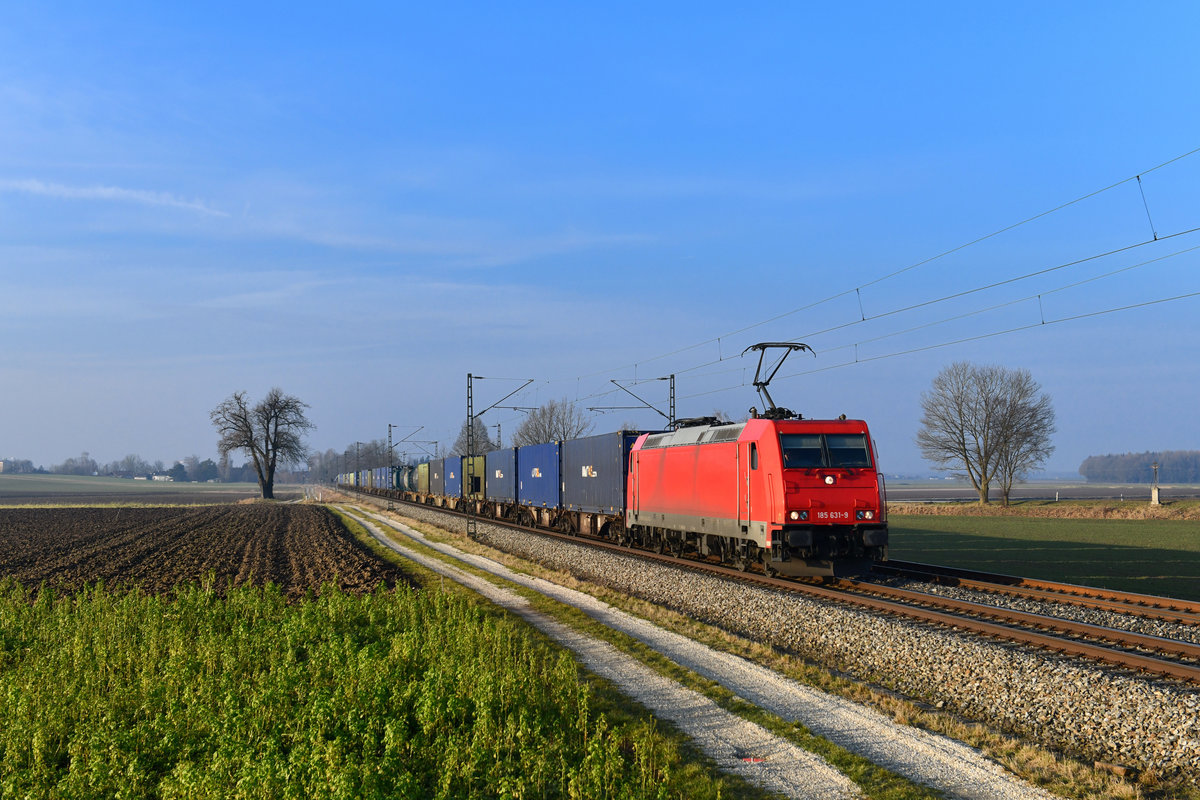 185 631 mit einem Containerzug am 26.01.2018 bei Langenisarhofen. 