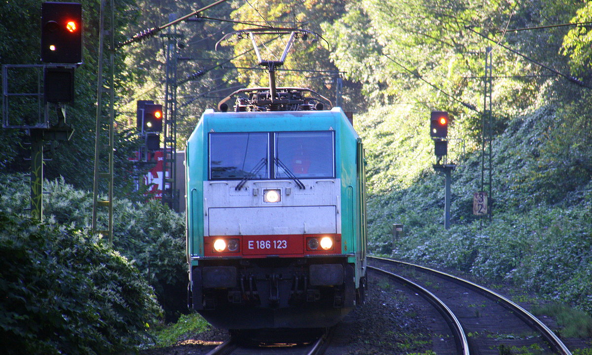 186 123 von Railtraxx  kommt aus Richtung Köln,Aachen-Hbf und fährt durch Aachen-Schanz mit einem KLV-Containerzug aus Frankfurt-Höchstadt am Main(D) nach Genk-Goederen(B)  und fährt in Richtung Aachen-West. 
Aufgenommen vom Bahnsteig von Aachen-Schanz.
An einem schönem Sommermorgen am Morgen vom 6.9.2016.