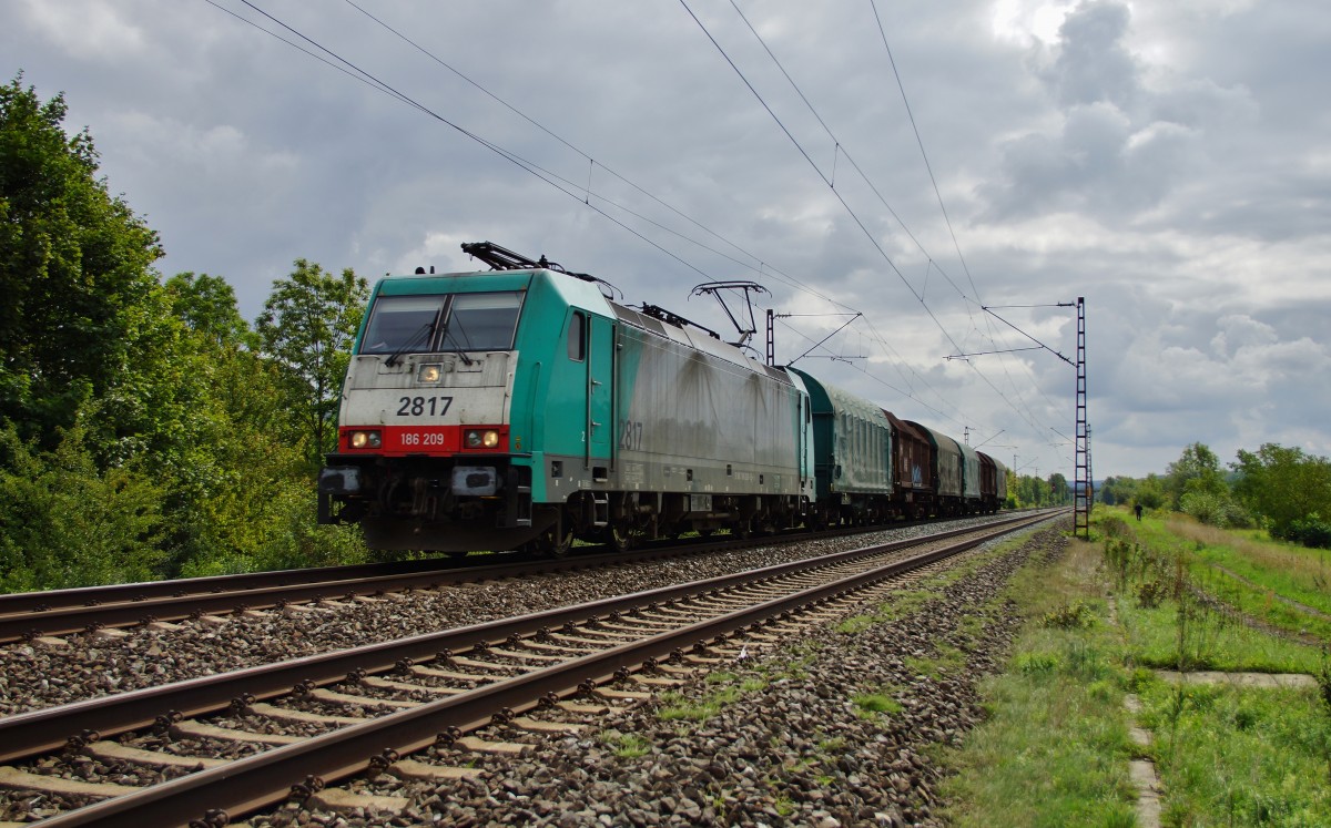 186 209 ist als Cobra 2817 mit einen kurzen Güterzug bei Thüngersheim am 08.09.15 zu sehen.