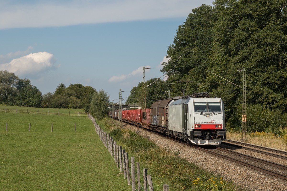 186 443 von Lokomotion mit einem Güterzug am 11. September 2015 bei Vogl.