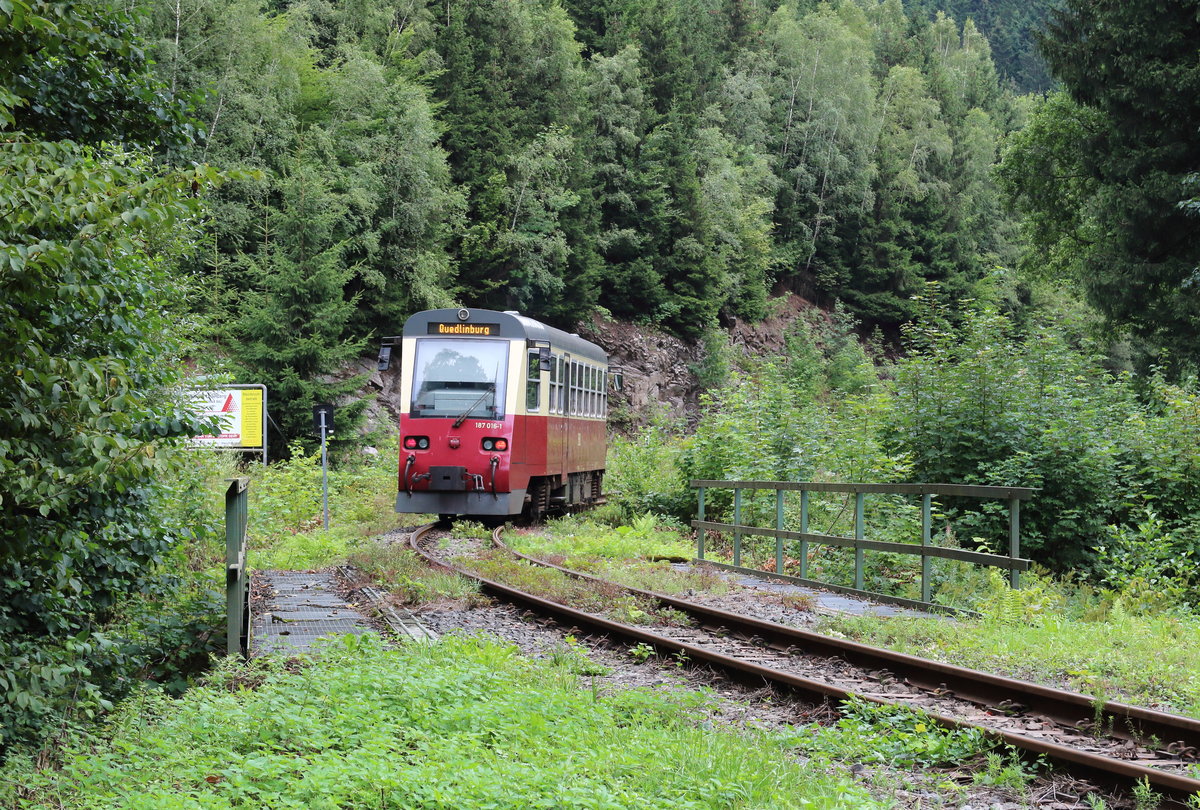 187 016 fährt kurz hinter dem Bahnhof Eisfelder Talmühle als P8972 (Nordhausen Nord - Quedlinburg) durch Beeretal. 

Beeretal, 12. August 2017