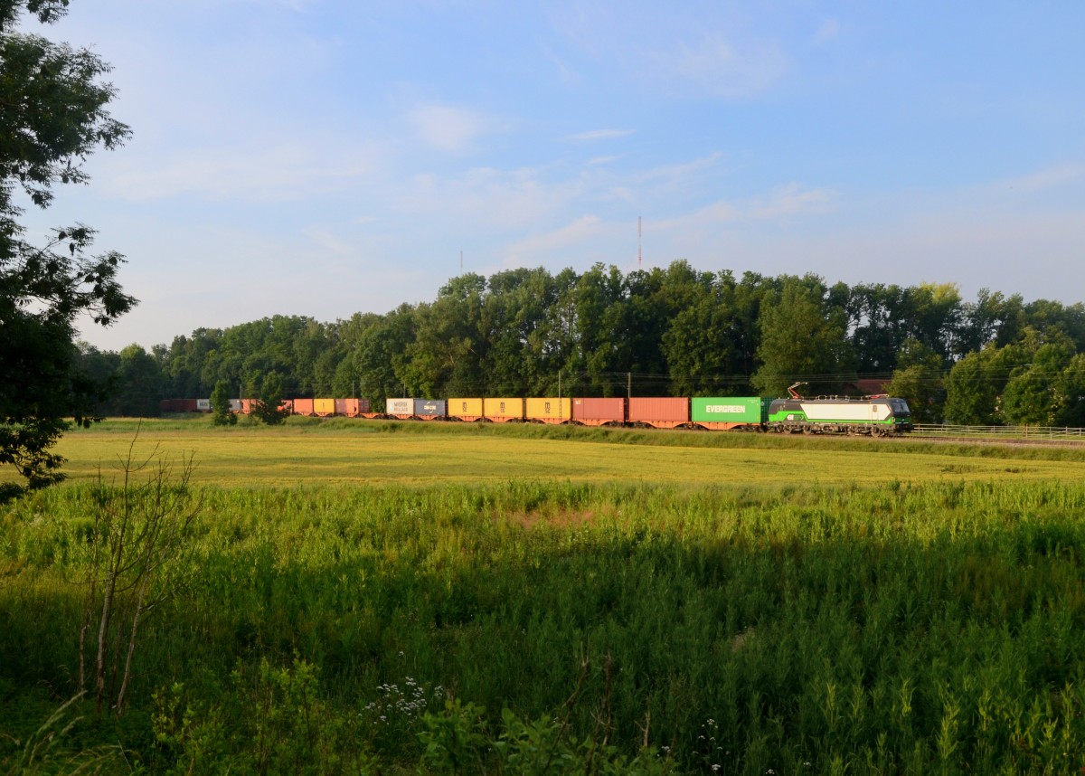 193 224 mit einem Containerzug am 13.06.2015 bei Schwarzwöhr. 