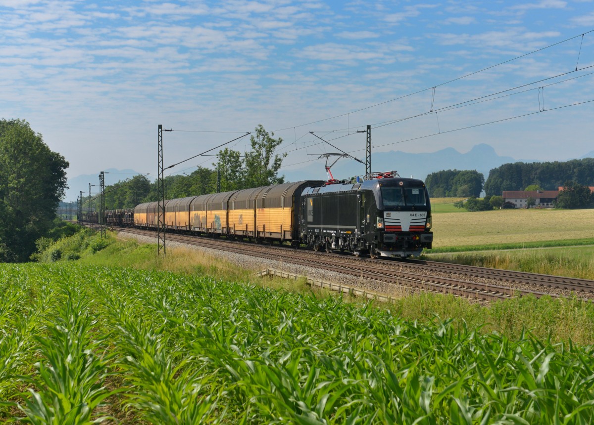 193 603 mit einem ARS Altmann am 02.07.2015 bei Hilperting. 