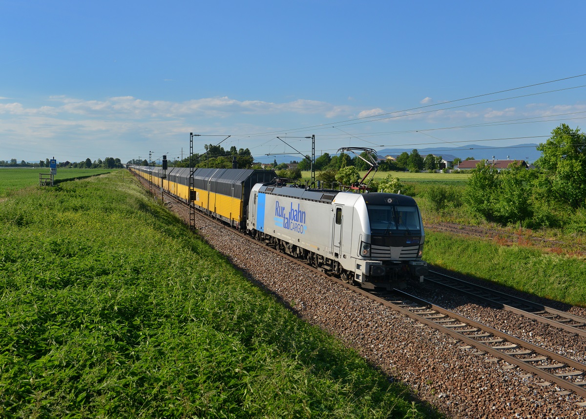 193 810 mit einem ARS-Altmann am 03.06.2015 bei Plattling. 