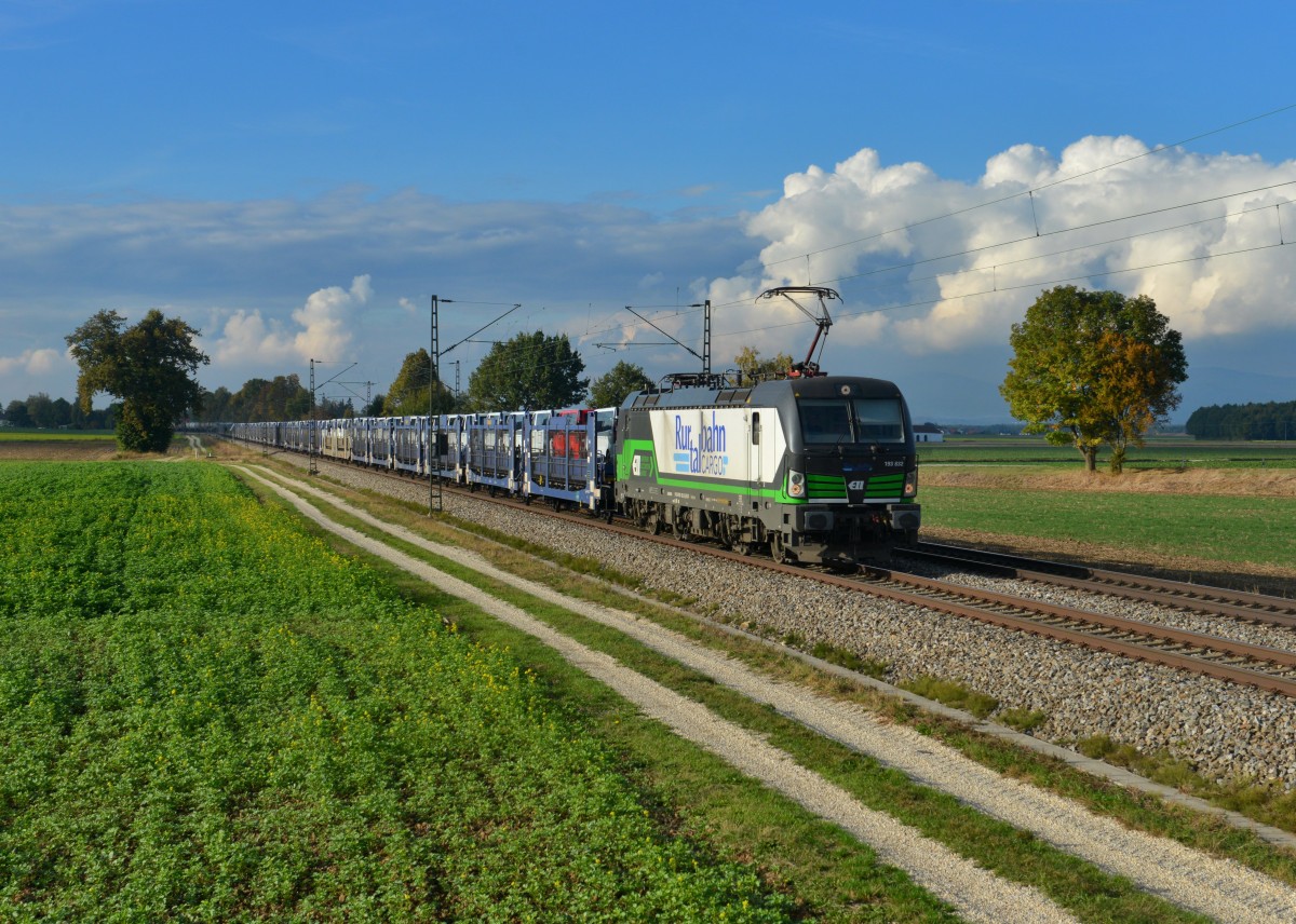 193 832 mit einem Autozug am 09.10.2015 bei Langenisarhofen. 