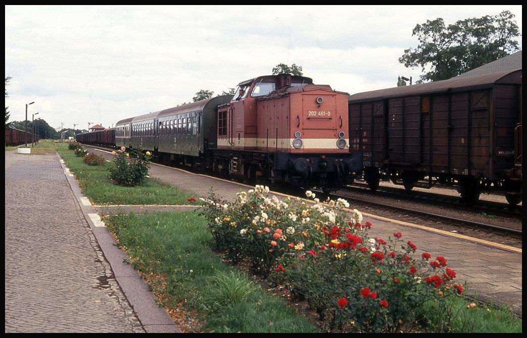 202461 ist hier am 29.8.1993 mit dem P 14209 aus Ludwigslust im ehemaligen Endbahnhof Dömitz angekommen.