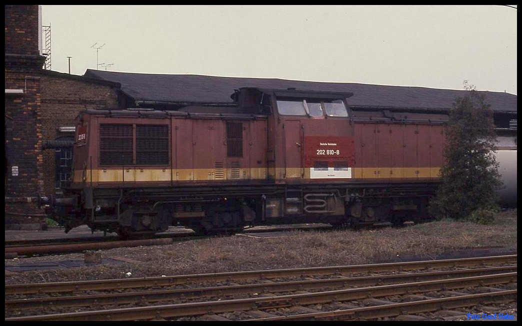 202810 am 21.3.1992 im BW Staßfurt.