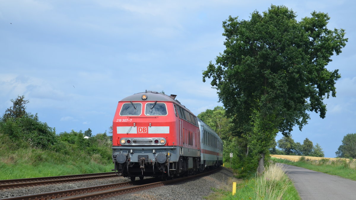 218 307 zieht am 19.08.2017 den IC Fehmarn-Hamburg durch die schönen Felder von Großenbrode.
