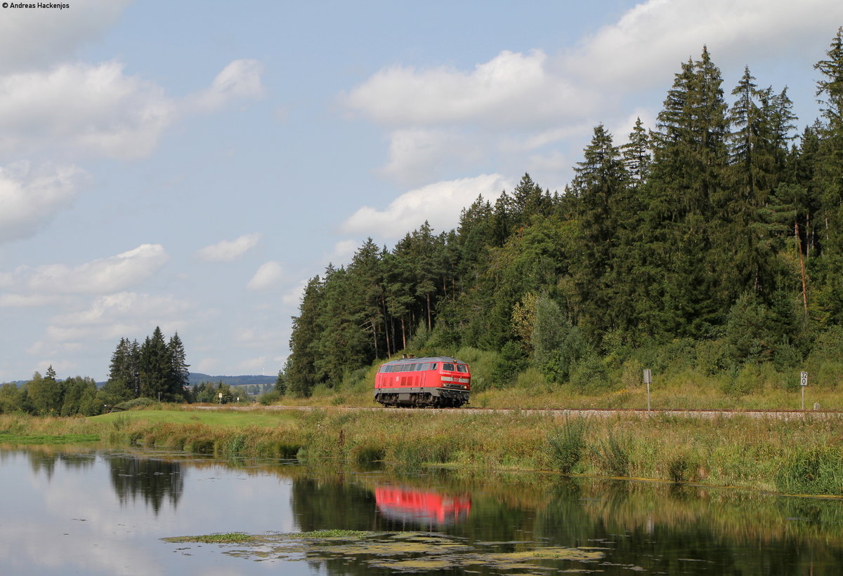 218 430-7 als Tfzf **** (Günzach-Kaufbeuren) bei Ruderatshofen 28.8.18