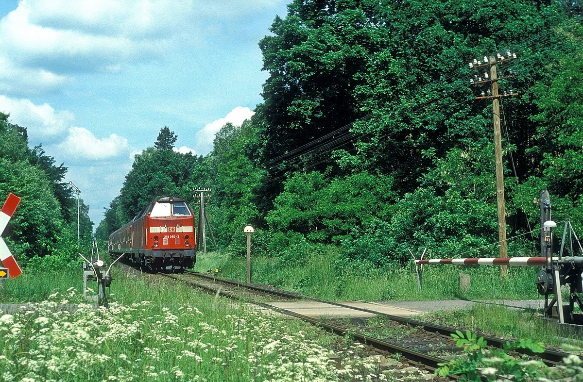 219 050  bei Bühlstringen  30.05.02