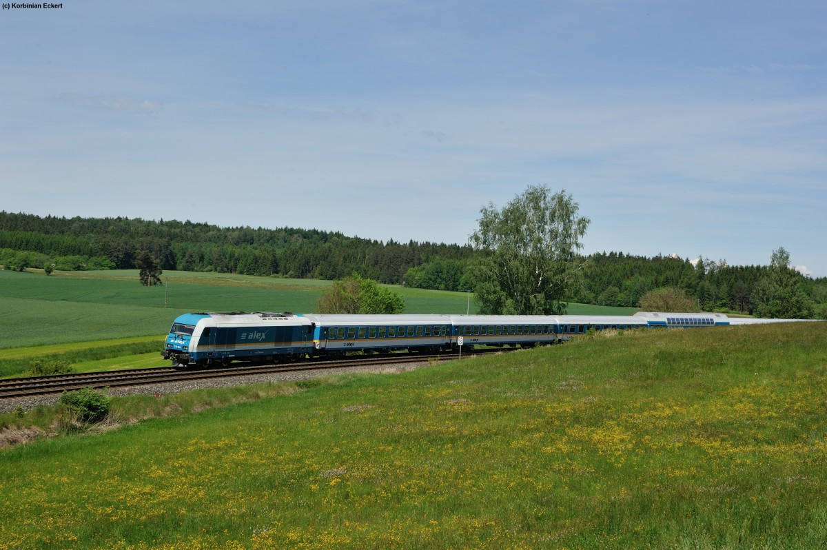 223 064 mit dem ALX 84115 nach München bei Röthenbach im Steinwald, 25.05.2014