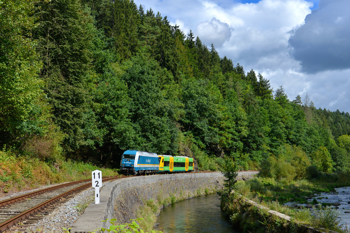 223 067 + 650 075 am 17.09.2017 bei Teisnach. 