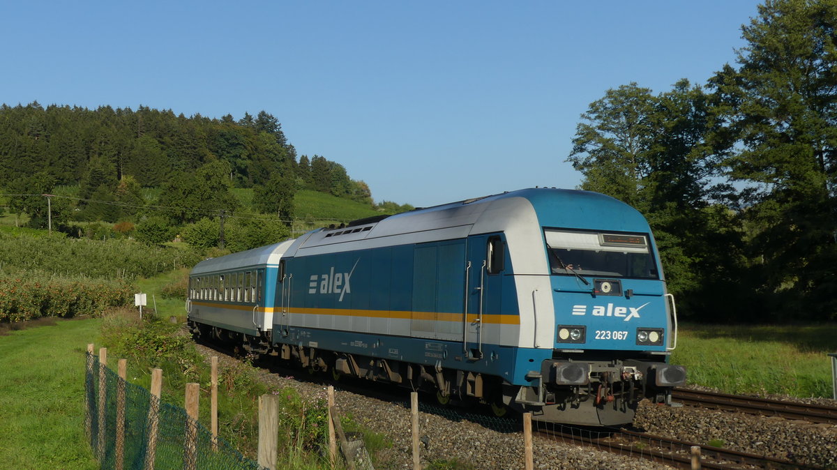 223 067 zieht einen ALX nach Lindau bei Bodolz um eine scharfe Kurve. Aufgenommen am 8.9.2018 17:57