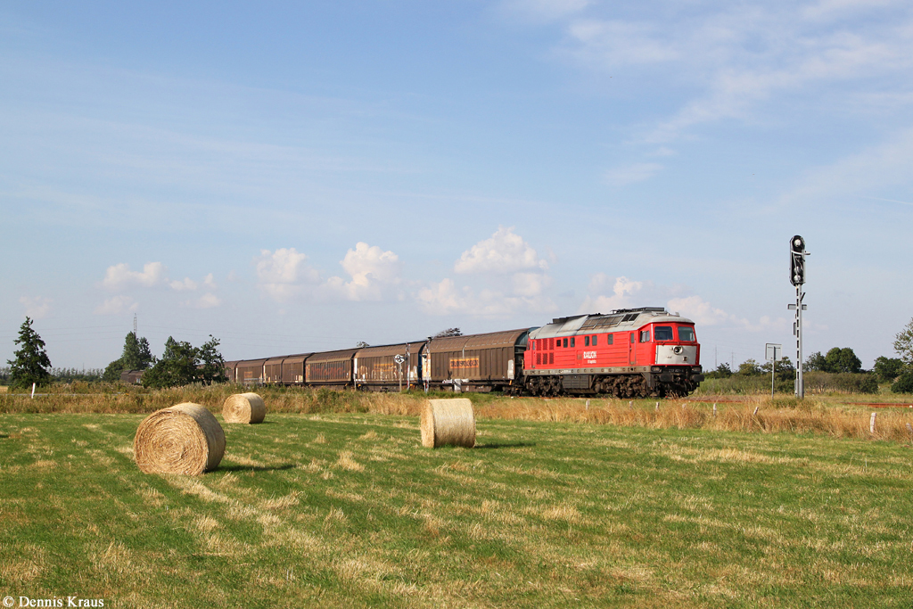 232 201 mit Güterzug am 24.07.2014 bei Bredebro.