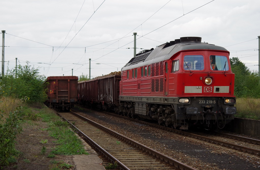 232 219 DB Schenker mit gemischten Gterzug am 21.09.2013 auf der Ringbahn Nrnberg. 