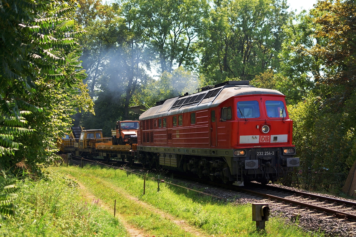 232 254 zieht am 20. August 2018, aufgrund der Arlbergsperrung, einen langen, gemischten Güterzug über die Aeschacher Kurve in Lindau Richtung München.