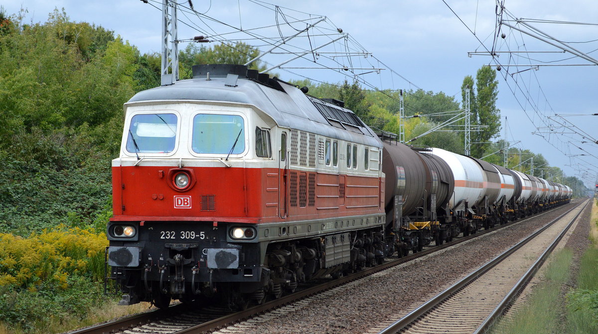 232 309-5 mit einem gemischten Kesselwagenzug am 24.08.18 Bf. Berlin-Hohenschönhausen.