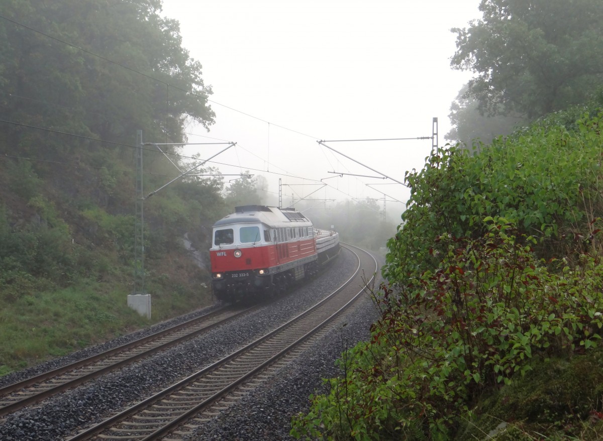 232 333-5 der WFL zu sehen am 08.09.15 im nebeligen Jößnitz/V. mit einem Schwellenzug.