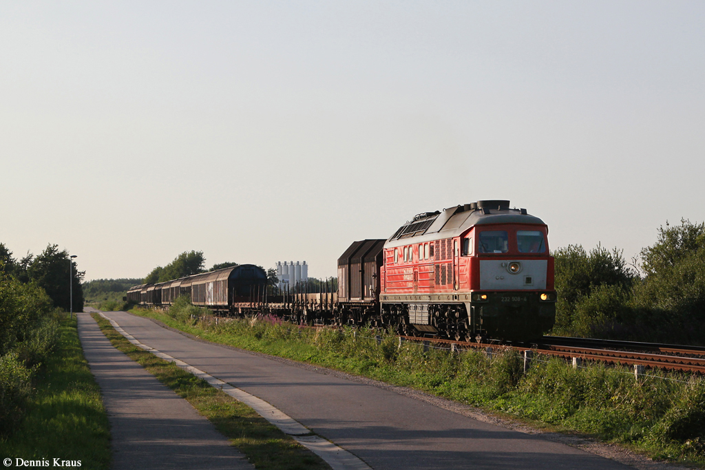 232 908 mit Güterzug am 23.07.2014 bei Lindholm.