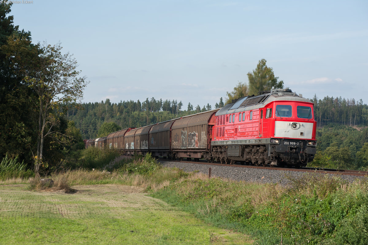 232 909-2 mit EZ 51082 nach Nürnberg Rbf bei Martinlamitz, 02.09.2016